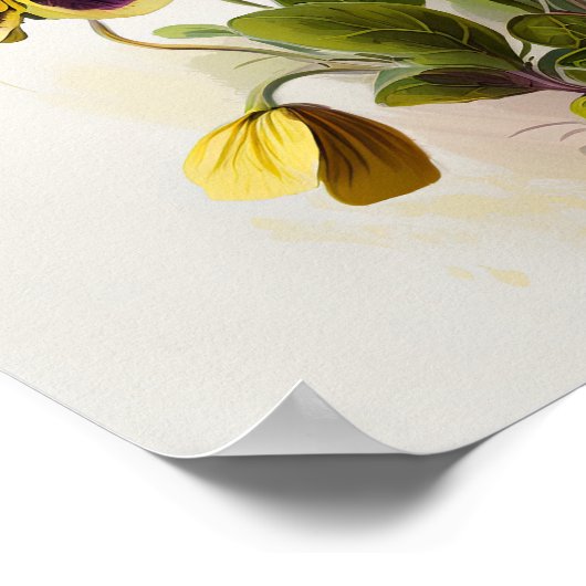 Poster d'impression de violons jaunes (Coin)