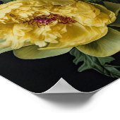 Poster d'impression des peonies jaunes (Coin)