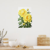 Poster d'impression des peonies jaunes (Cuisine)