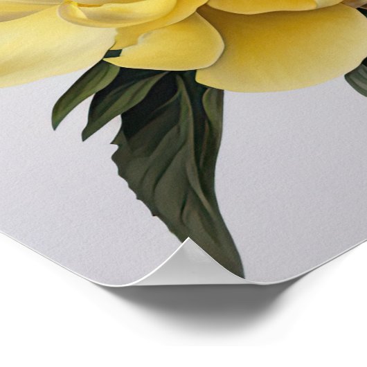 Poster d'impression des peonies jaunes (Coin)