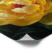 Poster d'impression des peonies jaunes (Coin)
