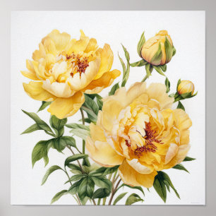 Poster d'impression des peonies jaunes