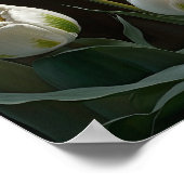 Poster d'impression des Tulipes blanches (Coin)