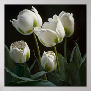 Poster d'impression des Tulipes blanches