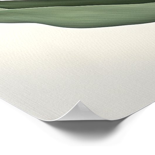 Poster d'impression des Tulipes blanches (Coin)