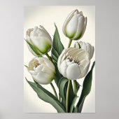 Poster d'impression des Tulipes blanches (Devant)