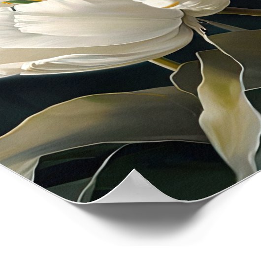 Poster d'impression des Tulipes blanches (Coin)
