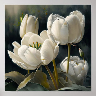 Poster d'impression des Tulipes blanches