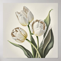 Poster d'impression des Tulipes blanches