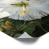 Poster d'impression d'Hibiscus blanc (Coin)