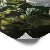 Poster d'impression d'Hibiscus blanc (Coin)