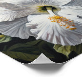 Poster d'impression d'Hibiscus blanc (Coin)