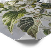 Poster d'impression d'Hibiscus blanc (Coin)