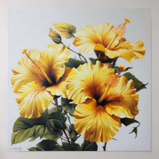Poster d'impression d'hibiscus jaune (Devant)