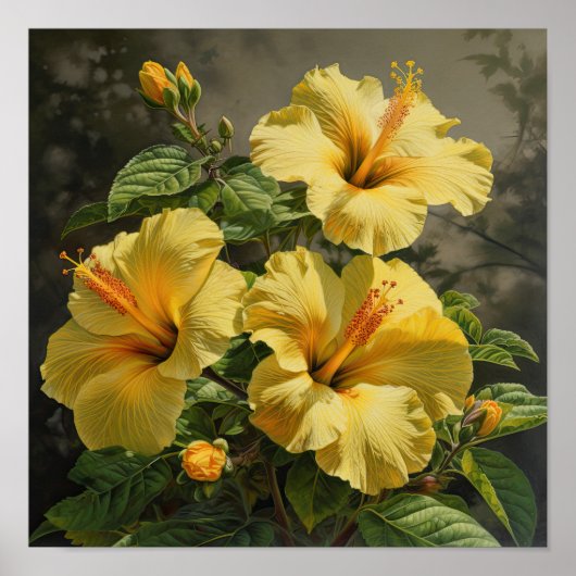 Poster d'impression d'hibiscus jaune (Devant)
