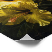 Poster d'impression d'hibiscus jaune (Coin)