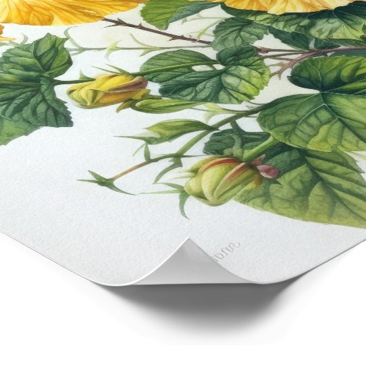 Poster d'impression d'hibiscus jaune (Coin)