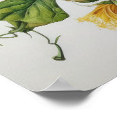 Poster d'impression d'hibiscus jaune (Coin)