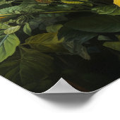 Poster d'impression d'hibiscus jaune (Coin)