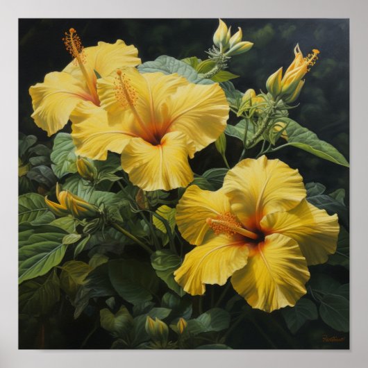Poster d'impression d'hibiscus jaune (Devant)