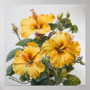 Poster d'impression d'hibiscus jaune