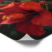 Poster d'impression d'hibiscus rouge (Coin)