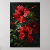 Poster d'impression d'hibiscus rouge (Devant)