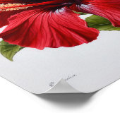 Poster d'impression d'hibiscus rouge (Coin)