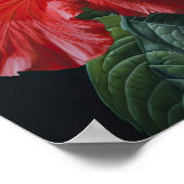 Poster d'impression d'hibiscus rouge (Coin)