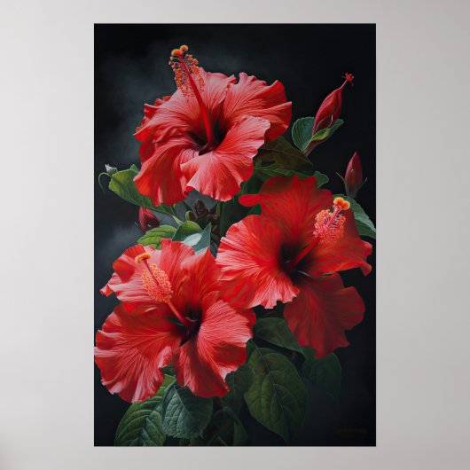 Poster d'impression d'hibiscus rouge (Devant)