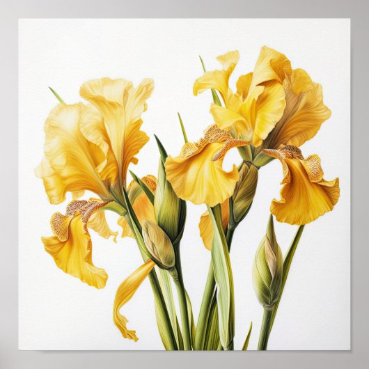 Poster d'impression d'images de fleurs irlandaises (Devant)