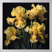 Poster d'impression d'images de fleurs irlandaises (Devant)