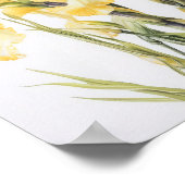 Poster d'impression d'images de fleurs irlandaises (Coin)