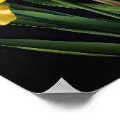 Poster d'impression d'images de fleurs irlandaises (Coin)