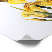 Poster d'impression d'images de fleurs irlandaises (Coin)