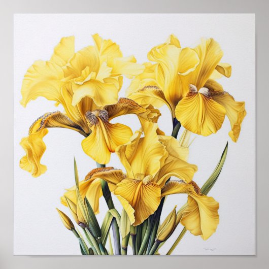 Poster d'impression d'images de fleurs irlandaises (Devant)