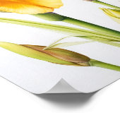 Poster d'impression d'images de fleurs irlandaises (Coin)