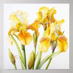 Poster d'impression d'images de fleurs irlandaises