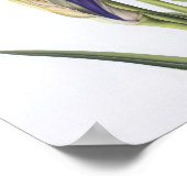 Poster d'impression d'images de fleurs irlandaises (Coin)