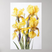 Poster d'impression d'images de fleurs irlandaises (Devant)