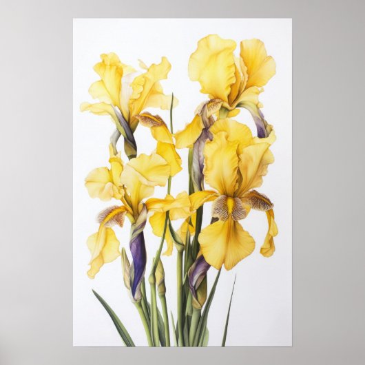 Poster d'impression d'images de fleurs irlandaises (Devant)