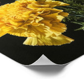 Poster d'impression d'oeillets jaunes (Coin)