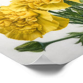 Poster d'impression d'oeillets jaunes (Coin)