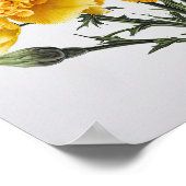 Poster d'impression d'oeillets jaunes (Coin)