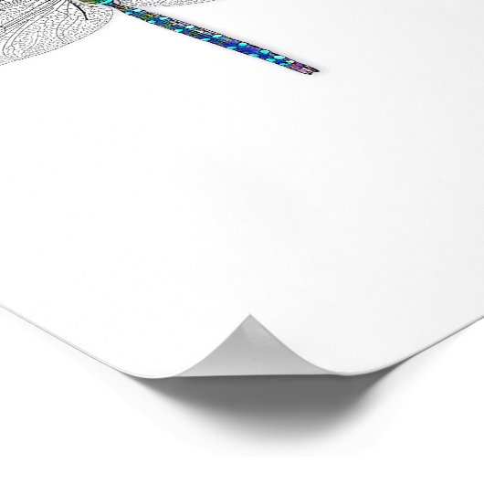 Poster d'impression Dragonfly Art (Coin)