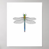 Poster d'impression Dragonfly Art (Devant)