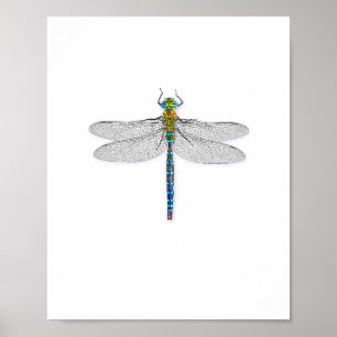 Poster d'impression Dragonfly Art