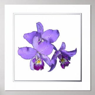 Poster d'impression du groupe d'orchidées violette