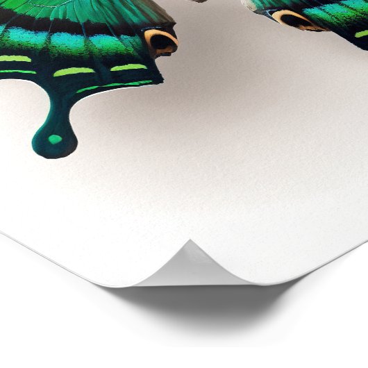 Poster d'impression Emerald Green Butterfly Art (Coin)