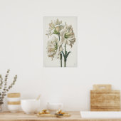 Poster d'impression en blanc Amaryllis Flower Art (Cuisine)